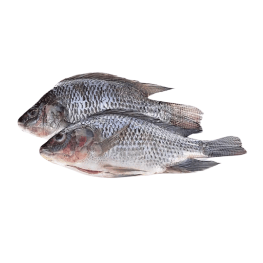 TILAPIA (திலபியா மீன்) - 1 KG